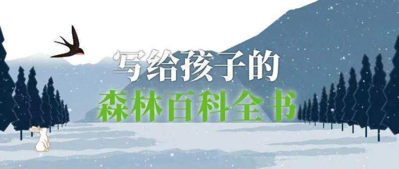 新语听书.jpg