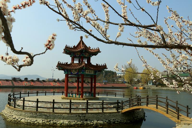 毕吉玲《贝草夼春韵》.jpg