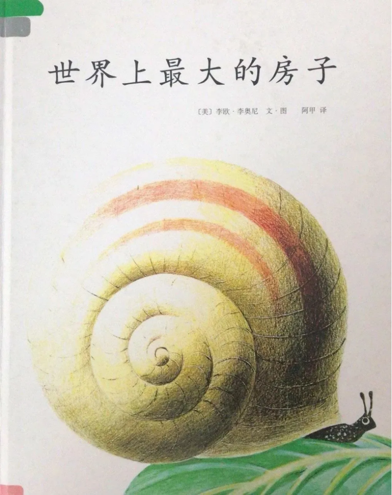 1716175196591.jpg